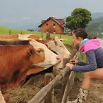 Bichlhuette