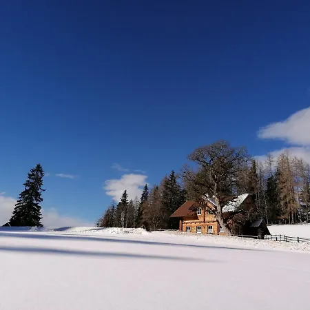 Ferienhaus Bichlhütte
