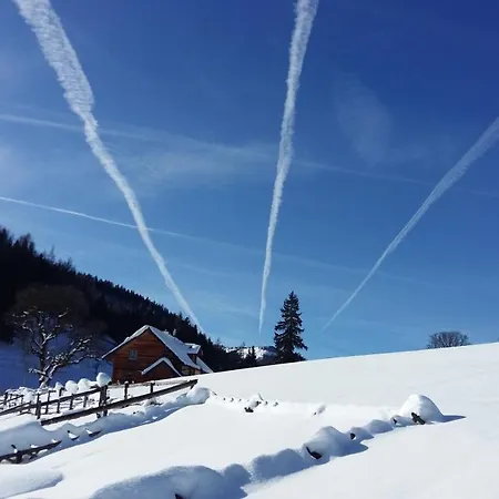 Bichlhuette Dom wakacyjny *