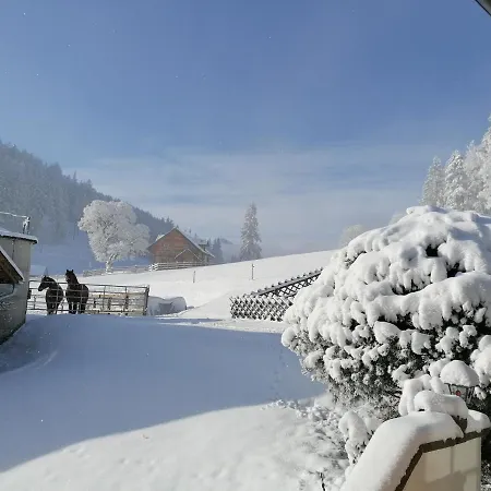 Bichlhütte Ferienhaus Pruggern