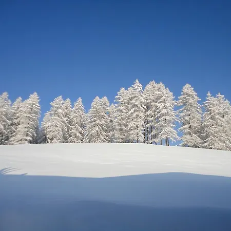 Bichlhuette * Pruggern