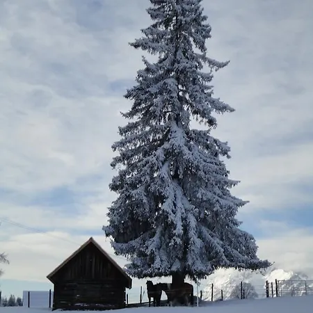 Holiday home Bichlhuette *