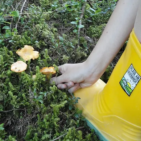 Dom wakacyjny Bichlhuette