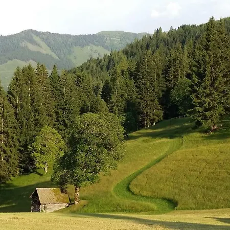 Holiday home Bichlhuette *