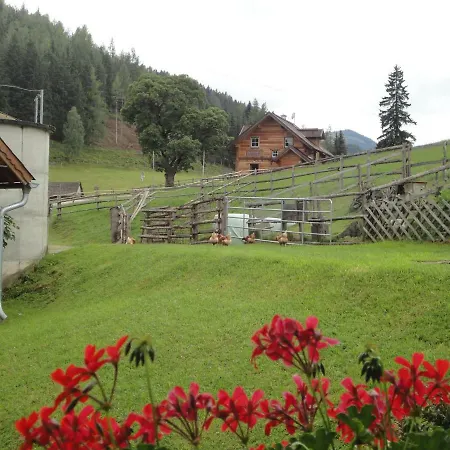 Bichlhuette Holiday home *