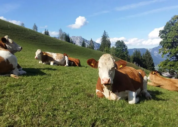 Bichlhuette 度假居 普鲁格恩