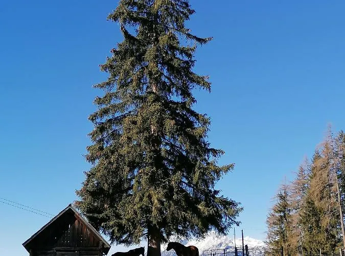 Bichlhuette 普鲁格恩