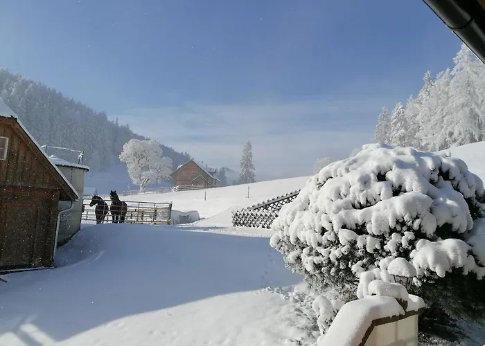 Bichlhuette Prázdninový dům Pruggern