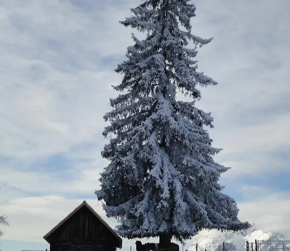 Holiday home Bichlhuette *