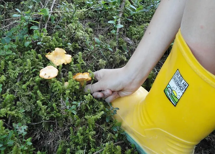 Prázdninový dům Bichlhuette