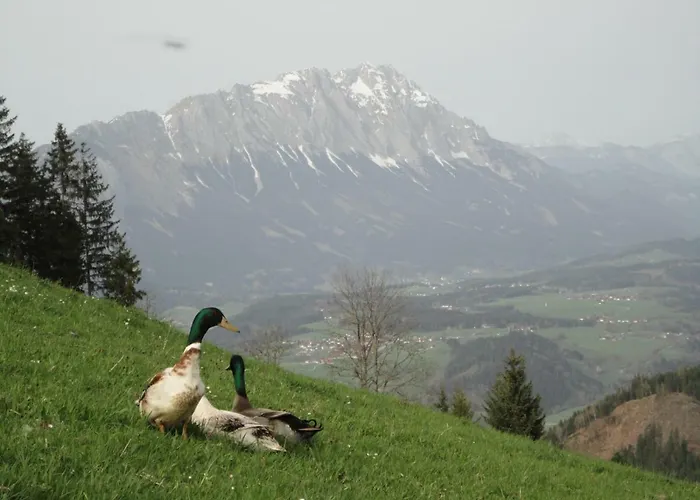 Holiday home Bichlhuette